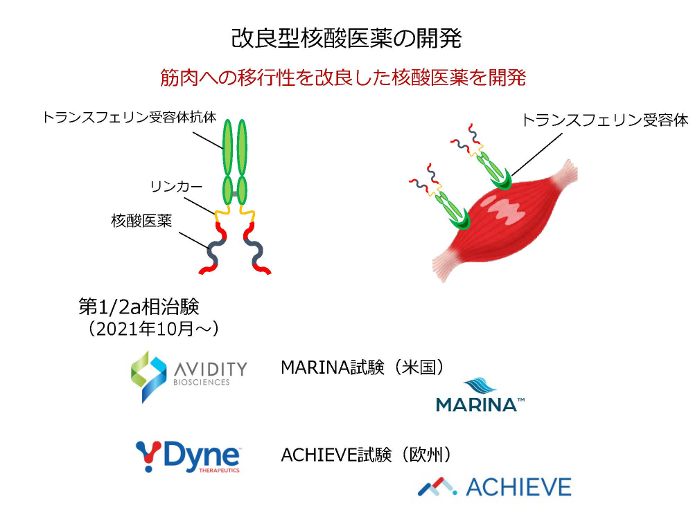 改良型核酸医薬の開発