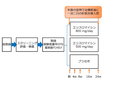 エリスロマイシン治験第2相の流れ