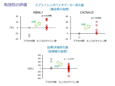 エリスロマイシン治験第2相の有効性評価