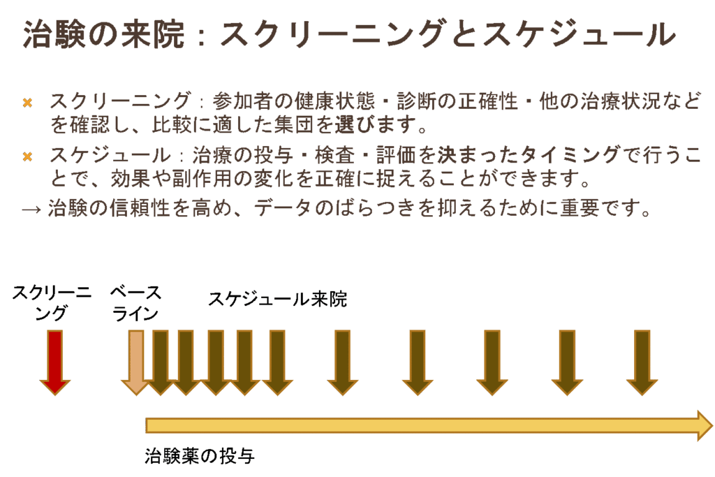 治験の来院：スクリーニングとスケジュール